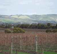 Mclaren Vale Premium Wines - Sunshine Coast Tourism