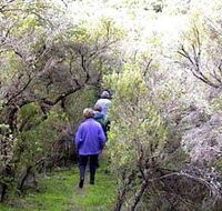 Jack And Hilda McArthur Walk - Sunshine Coast Tourism