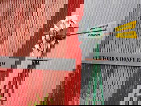 Clifford's Honey Farm - Holiday Sunshine Coast 0