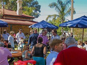 Barossa Valley Brewing - Sunshine Coast Tourism 0