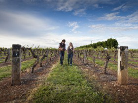 Coonawarra Wineries Walking Trail - Holiday Sunshine Coast 0