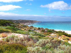 Marion Bay SA Sunshine Coast Tourism