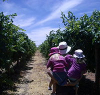 McLaren Vale Orchards - Sunshine Coast Tourism
