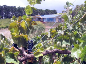 Willunga South SA Sunshine Coast Tourism