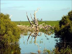 Sunshine Coast Tourism