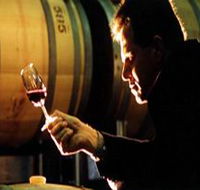 Salena Estate Wines
