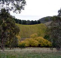 Mt Bera Vineyards - Sunshine Coast Tourism