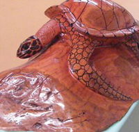 Ants Redgum Gallery
