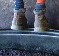 Fall From Grace - Sunshine Coast Tourism