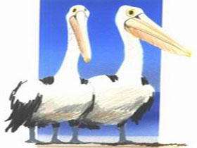 Bay Of Shoals Wines - Holiday Sunshine Coast 0