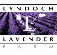 Lyndoch Lavender Farm and Cafe - Sunshine Coast Tourism