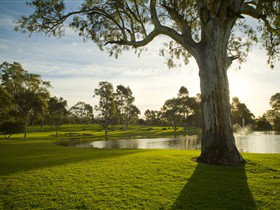 Serafino Wines - Holiday Sunshine Coast 0