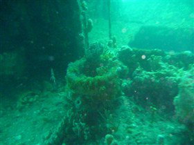 Wallaroo Scuba Club - Sunshine Coast Tourism 0