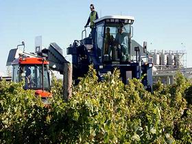 Ballast Stone Estate Wines Pty Ltd - Holiday Sunshine Coast 0