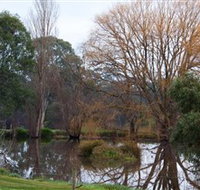 Gemtree Wetlands Ecotrail - Sunshine Coast Tourism