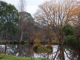 Gemtree Wetlands Ecotrail - Sunshine Coast Tourism 0