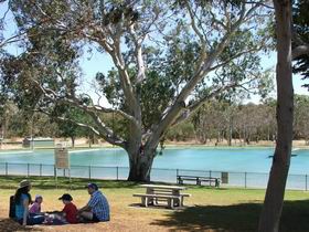 Naracoorte Nature Park And Swimming Lake - Sunshine Coast Tourism 0