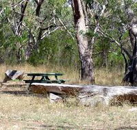 Penola Conservation Park - Sunshine Coast Tourism
