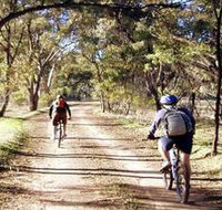 Bike About Mountain Bike Tours And Hire - Holiday Sunshine Coast