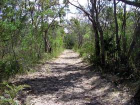 Wendy's Walk - Holiday Sunshine Coast 0