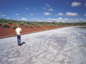 Lake Gairdner National Park - Holiday Sunshine Coast 0
