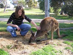 Pendleton Farmstay - Sunshine Coast Tourism 0