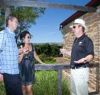 Shingleback Wine Cellar Door - Sunshine Coast Tourism
