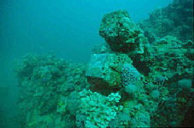 Adelaide's Underwater Heritage Trail - Sunshine Coast Tourism 0