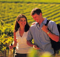 Lady Bay Vineyard - Holiday Sunshine Coast