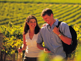 Lady Bay Vineyard - Sunshine Coast Tourism 0