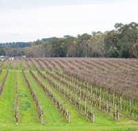 Dennis Wines - Sunshine Coast Tourism