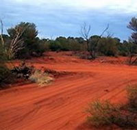 Tallaringa Conservation Park - Sunshine Coast Tourism
