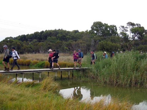 Lavender Federation Trail - Sunshine Coast Tourism 1