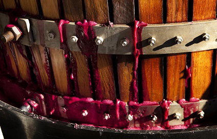 Seppeltsfield SA Sunshine Coast Tourism