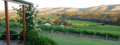 DogRidge - Sunshine Coast Tourism 2