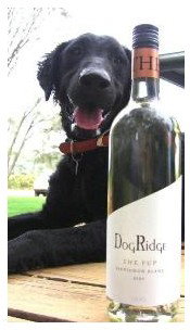 DogRidge - Sunshine Coast Tourism 6