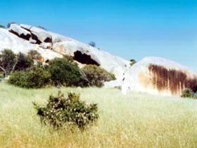 Ucontitchie Hill - Sunshine Coast Tourism 0