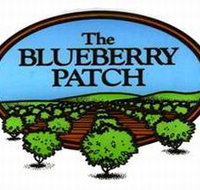 The Blueberry Patch - Holiday Sunshine Coast
