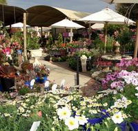 Serenity Nursery