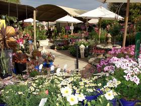 Serenity Nursery - Sunshine Coast Tourism 0