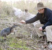 Sinclair's Gully - Sunshine Coast Tourism