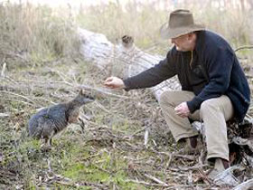 Sinclair's Gully - Holiday Sunshine Coast 0