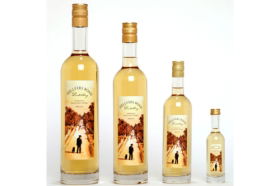  Sunshine Coast Tourism