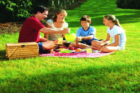 Bruny Island Berry Farm - Holiday Sunshine Coast 0