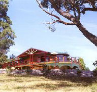 Barringwood Park Vineyard - Sunshine Coast Tourism