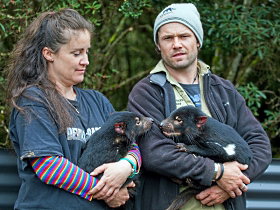 Devils@cradle - Holiday Sunshine Coast 0