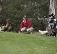 Tasmania Golf Club - The - Holiday Sunshine Coast