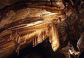 Gunns Plains Cave - Sunshine Coast Tourism 0