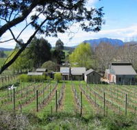 Wilmot Hills Vineyard - Holiday Sunshine Coast