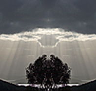 aart. Gallery of Fine Art - Sunshine Coast Tourism